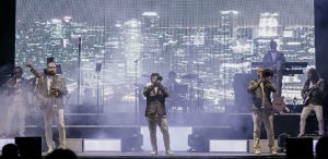 Músico de orquesta I